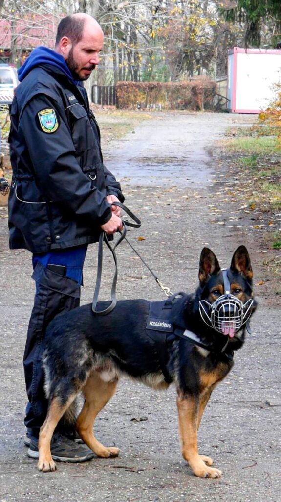 Szántó Krisztián kapott rangos elismerést