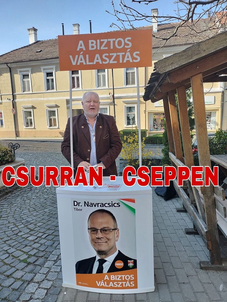 Remete kft. közadatigénylés